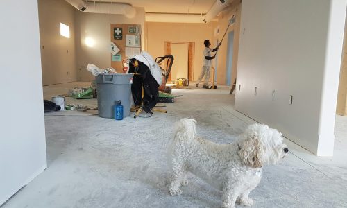 whole-house remodeling services