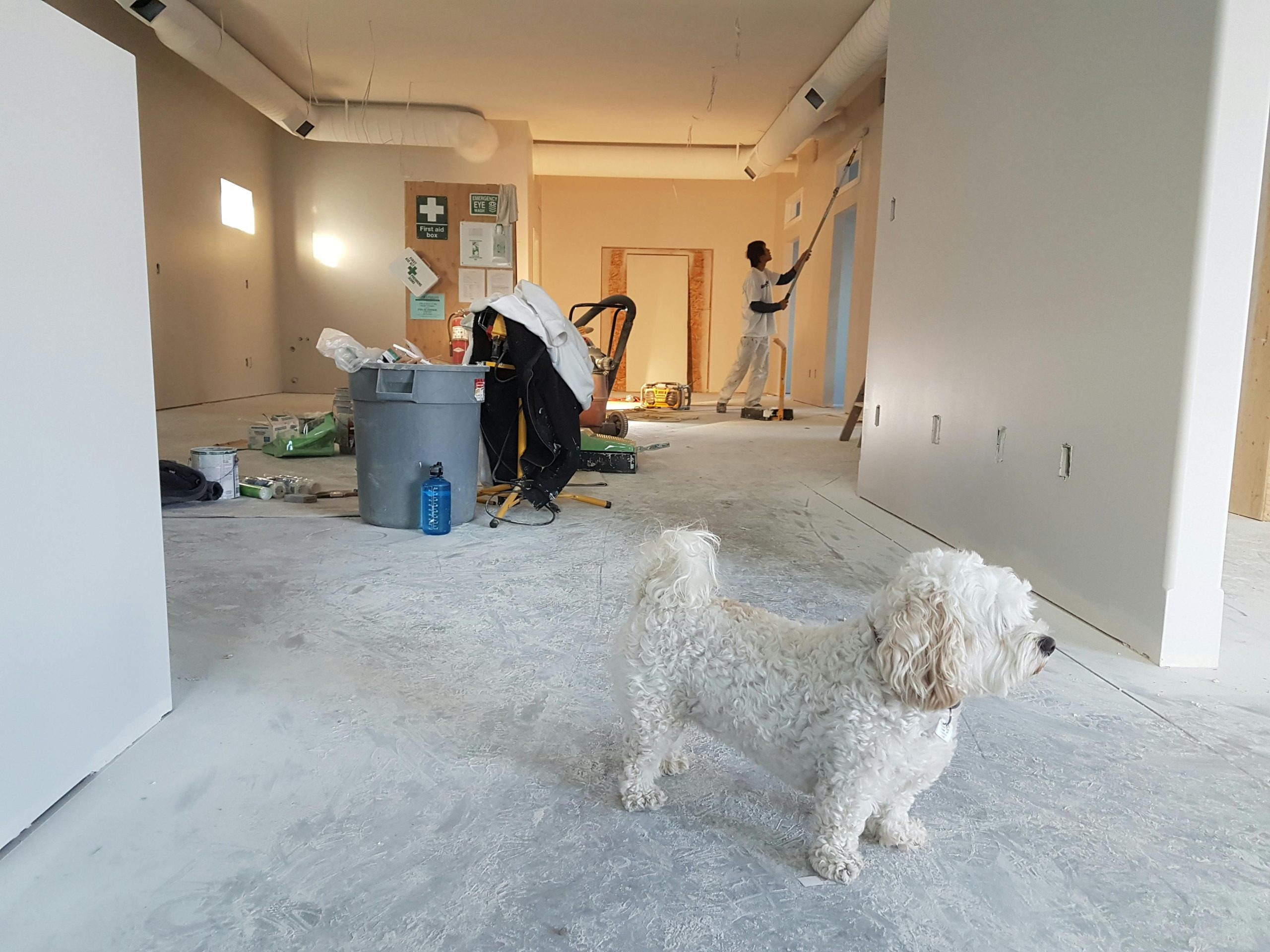 whole-house remodeling services